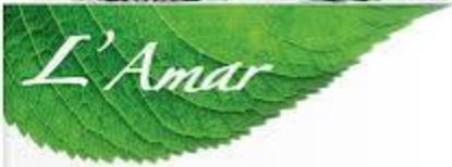 AMAR DEEP PHARMA LLP